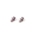 Rose galvanized sems screw with two washers